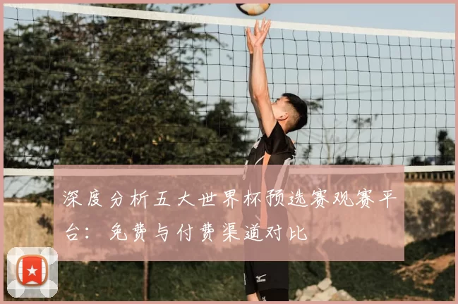 深度分析五大世界杯预选赛观赛平台:免费与付费渠道对比