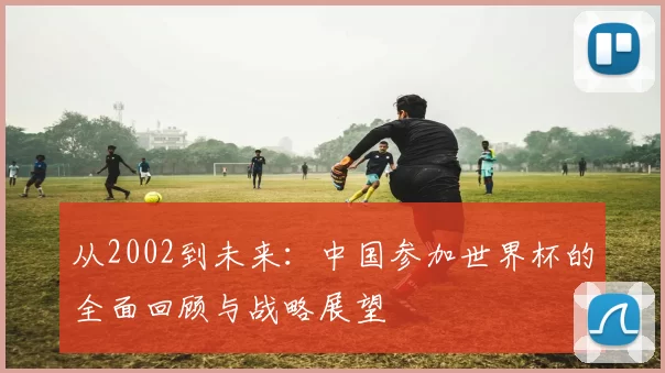 从2002到未来:中国参加世界杯的全面回顾与战略展望