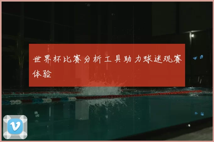 世界杯比赛分析工具助力球迷观赛体验