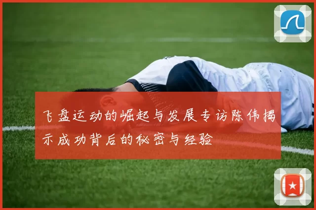 飞盘运动的崛起与发展专访陈伟揭示成功背后的秘密与经验