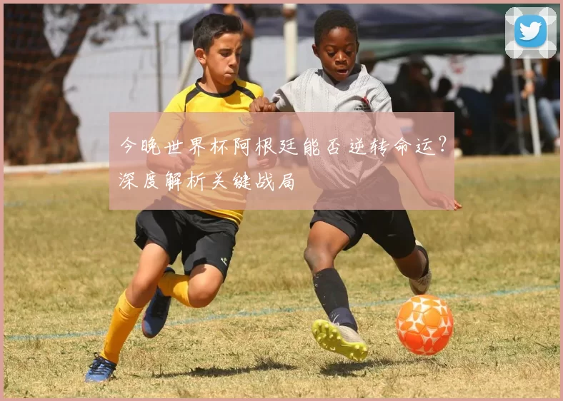 今晚世界杯阿根廷能否逆转命运?深度解析关键战局