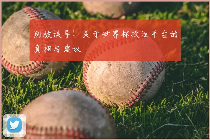 别被误导!关于世界杯投注平台的真相与建议