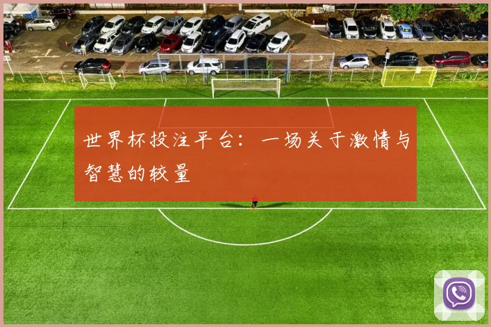 世界杯投注平台:一场关于激情与智慧的较量
