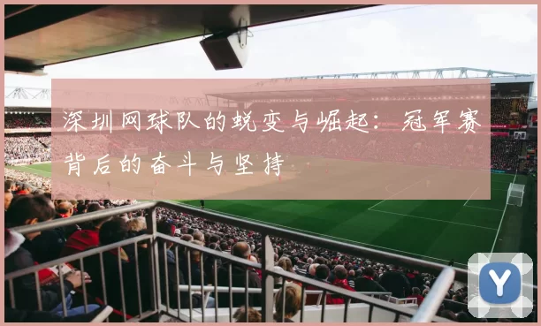 深圳网球队的蜕变与崛起:冠军赛背后的奋斗与坚持