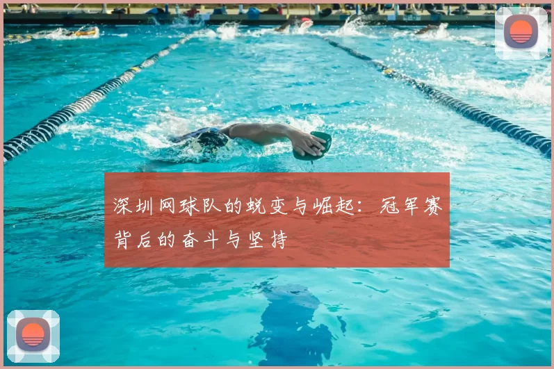 深圳网球队的蜕变与崛起:冠军赛背后的奋斗与坚持