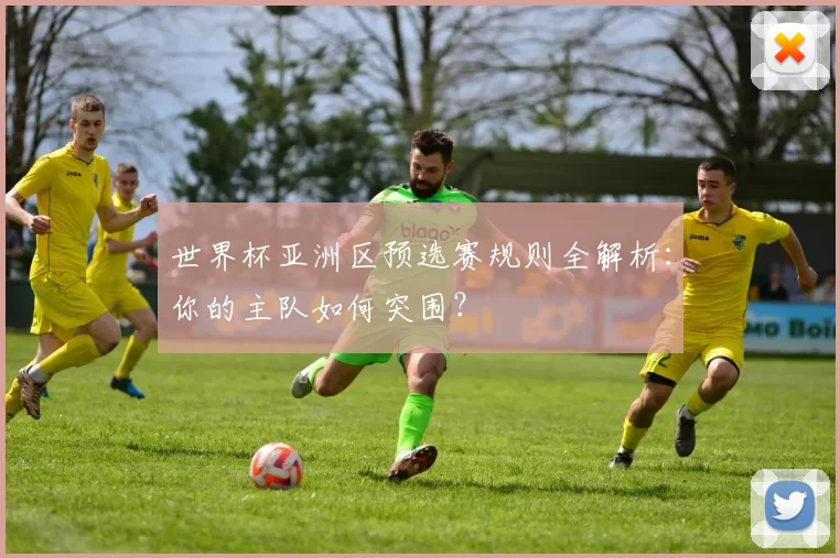 世界杯亚洲区预选赛规则全解析:你的主队如何突围?