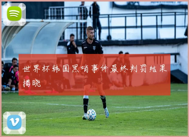 世界杯韩国黑哨事件最终判罚结果揭晓