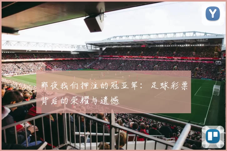 那夜我们押注的冠亚军:足球彩票背后的荣耀与遗憾